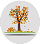 Leaf Clearing