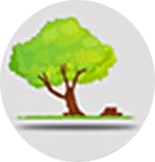 Tree Surgery