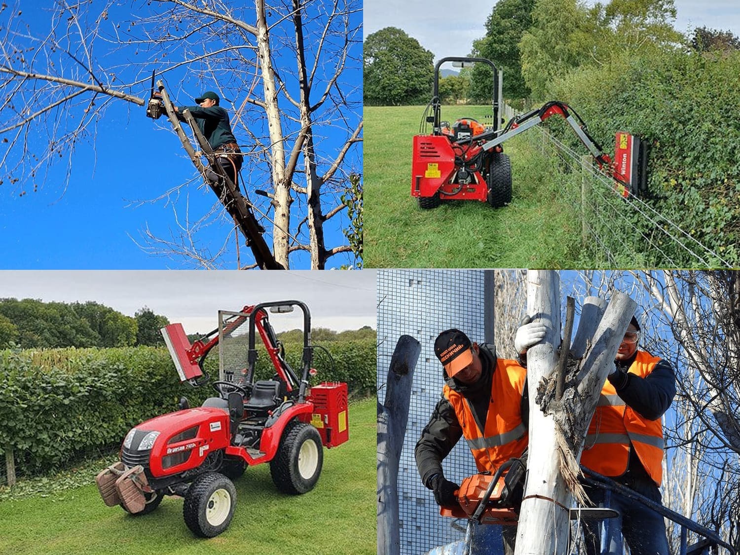 Tree and Hedge Cutting
